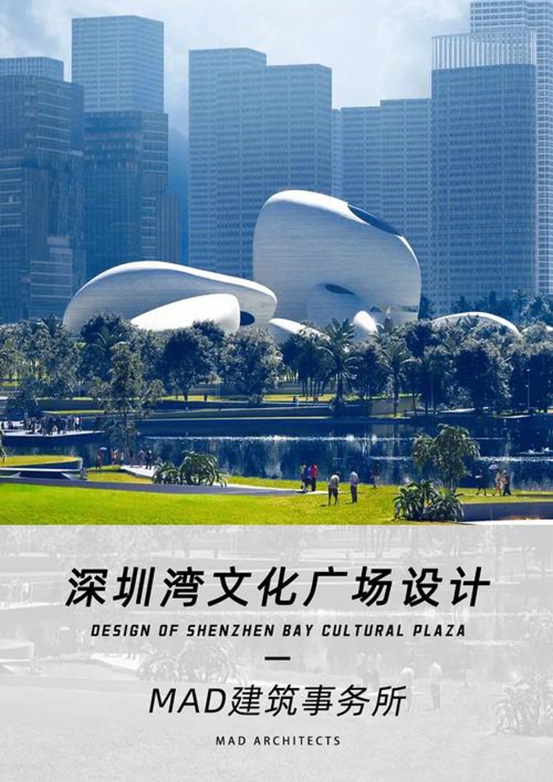 深圳文化